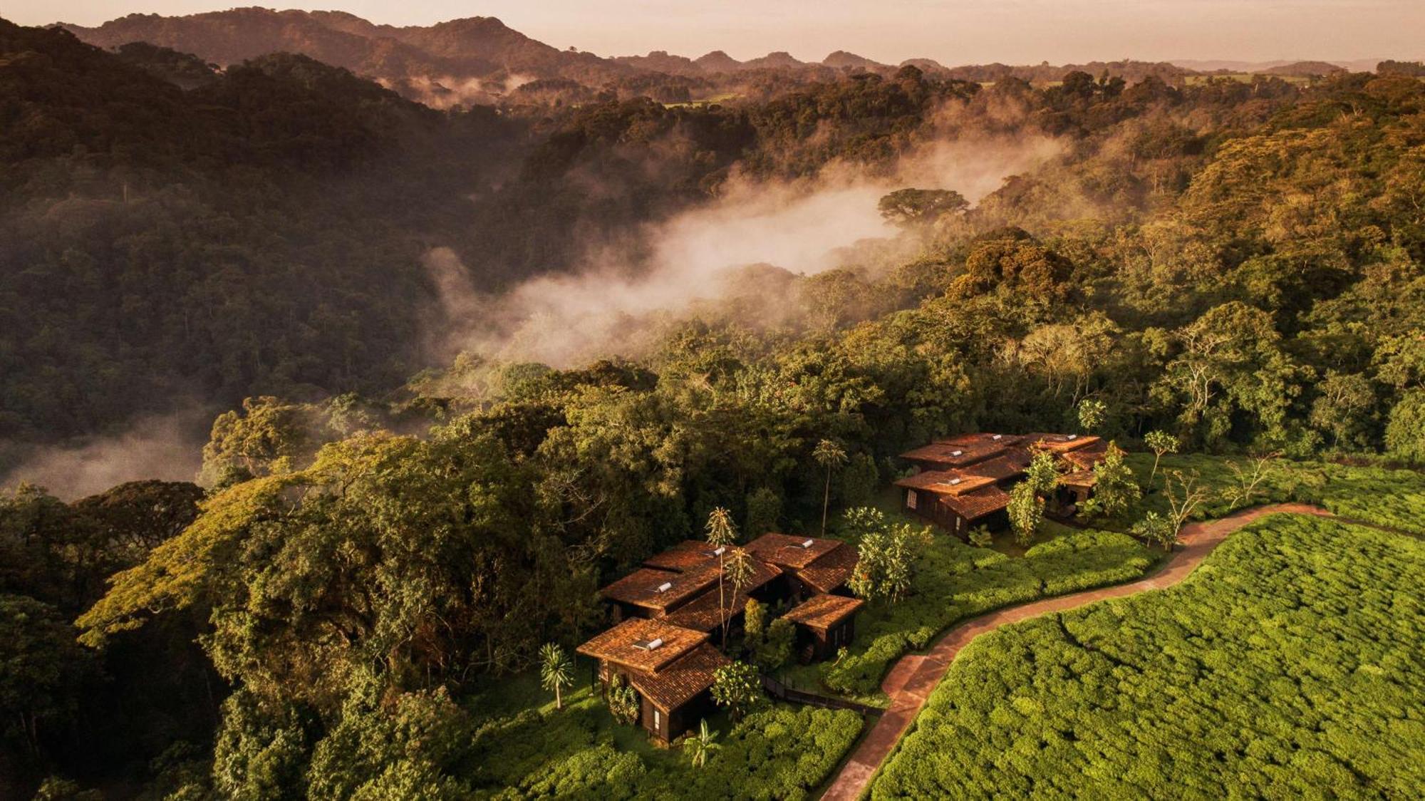 Willa One&Only Nyungwe House Rwumba Zewnętrze zdjęcie